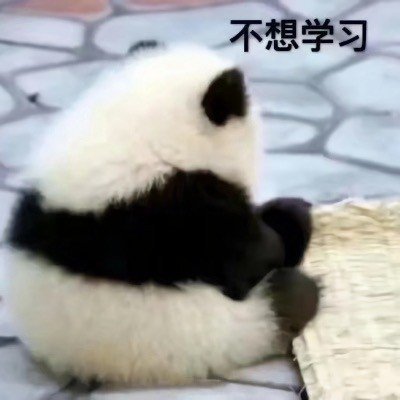 真熊猫的表达状态的表情包-6-