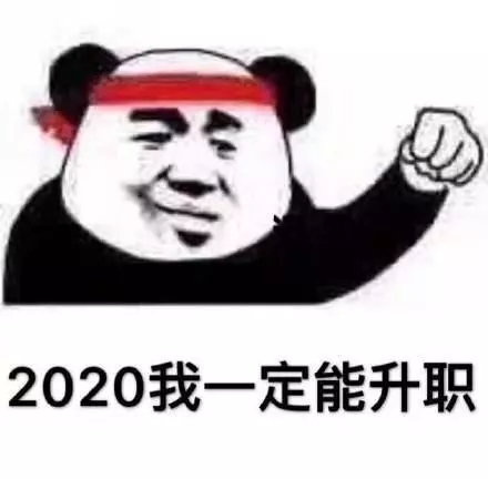 熊猫头-2020我一定能升值-