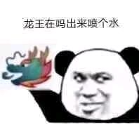 熊猫头龙王鬼火表情-18
