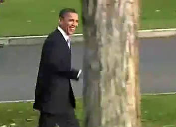 奥巴马撞树