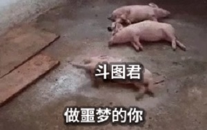 [恶搞]做噩梦的猪猪搞笑动图