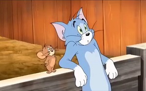 [猫和老鼠]杰瑞和汤姆彼此发誓永远要在一起